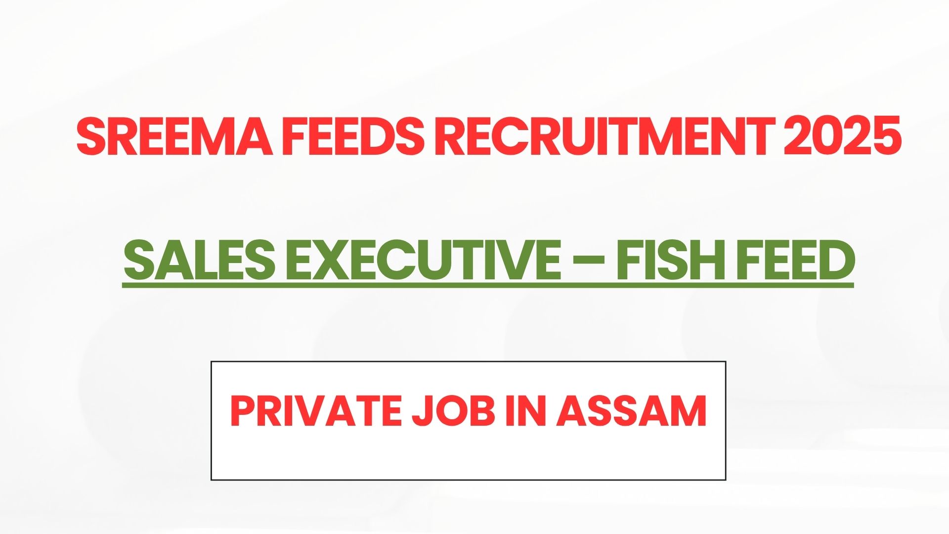 Sreema Feeds Recruitment 2025